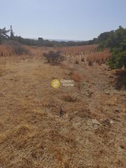 Οικόπεδο 4.000 τ.μ. προς πώληση, Δέρματος-thumb-2