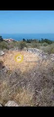 Οικόπεδο 839 τ.μ. προς πώληση, Κεφαλάς Βάμου-thumb-1