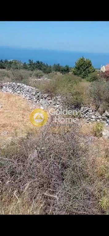 Οικόπεδο 839 τ.μ. προς πώληση, Κεφαλάς Βάμου
