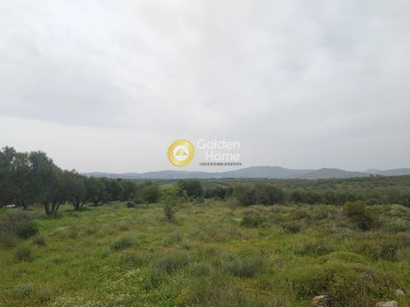 Land plot 5.000sqm for sale-Kastelli » Polithea