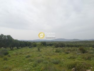 Οικόπεδο 5.991 τ.μ. για πώληση