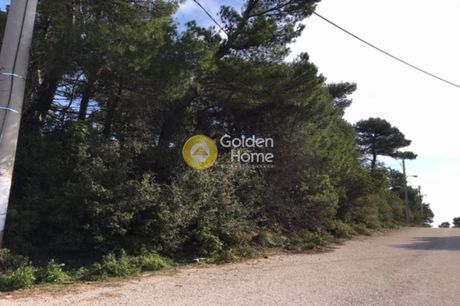 Land plot 1.049sqm for sale-Afidnes » Agia Triada