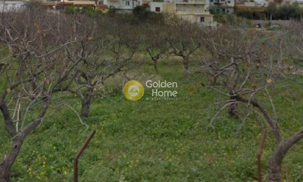Οικόπεδο 1.570 τ.μ. προς πώληση, Λιβάδι Αίγινας