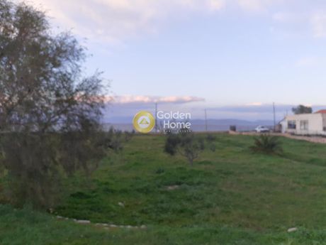 Μονοκατοικία 340τ.μ. για πώληση-Αίγινα » Λιβάδι