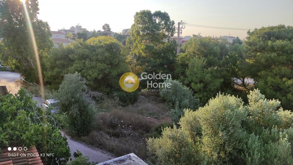 Μονοκατοικία 186 τ.μ. προς πώληση, Αθήνα - Ανατολικά Προάστια, Αρτέμιδα (λούτσα)