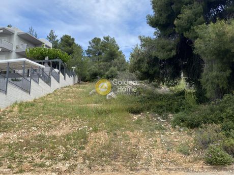 Land plot 1.041sqm for sale-Malesina » Theologos