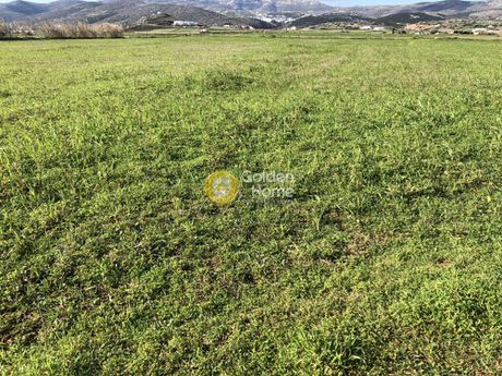 Parcel 9.220sqm for sale-Paros » Tsoukalia
