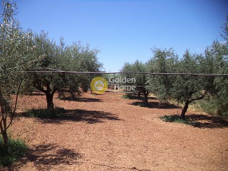 Parcel 11.500sqm for sale-Egialia » Agios Konstantinos