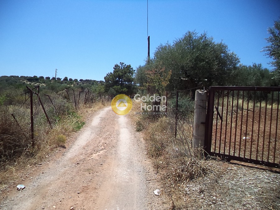 Αγροτεμάχια 11.500 τ.μ. προς πώληση, Άγιος Κωνσταντίνος Αιγιάλειας