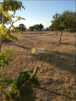 Land plot 15.540sqm for sale-Chersonisos » Agriana