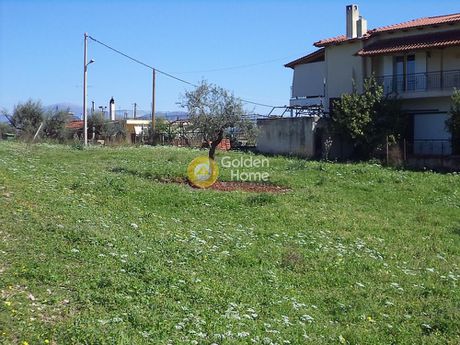 Οικόπεδο 1.170τ.μ. για πώληση-Αίγιο » Κουλούρα