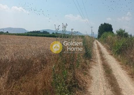 Parcel 11.000sqm for sale-Larisa » Argissa