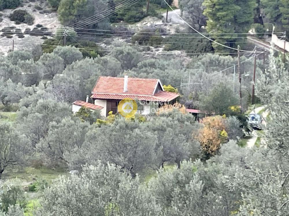 Οικόπεδο 665 τ.μ. προς πώληση, Γαλατάκι