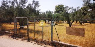 Αγροτεμάχια 1.237 τ.μ. πρός πώληση, Αττική - Υπόλοιπο, Ανάβυσσος-thumb-1
