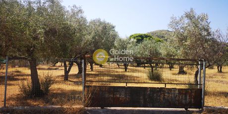 Parcel 1.237sqm for sale-Anavissos » Mavro Lithari