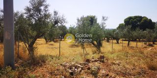 Αγροτεμάχια 1.237 τ.μ. πρός πώληση, Αττική - Υπόλοιπο, Ανάβυσσος-thumb-3