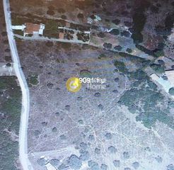 Οικόπεδο 9.091 τ.μ. για πώληση