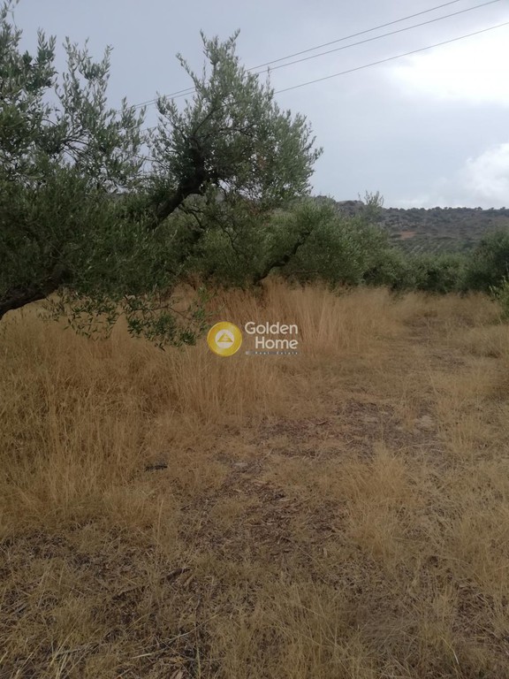 Οικόπεδο 600 τ.μ. προς πώληση, Σκοτεινό