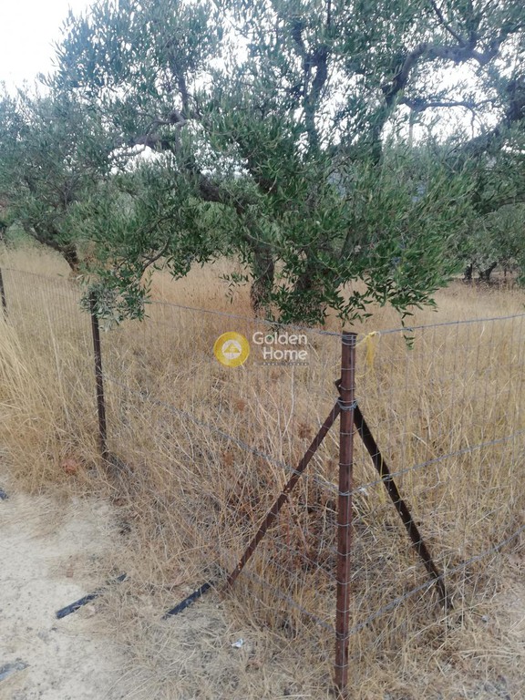 Οικόπεδο 600 τ.μ. προς πώληση, Σκοτεινό