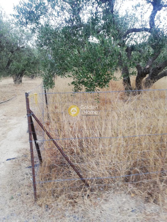 Οικόπεδο 600 τ.μ. προς πώληση, Σκοτεινό