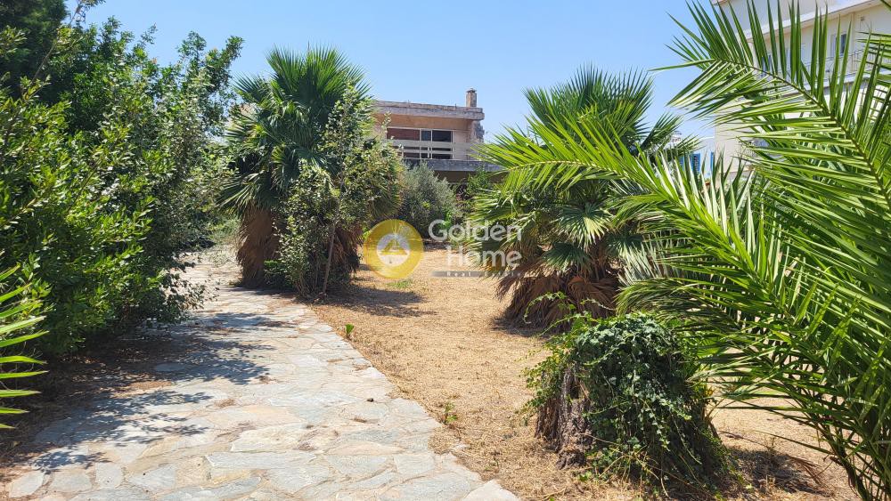 Οικόπεδο 1.500 τ.μ. προς πώληση, Κέντρο Ραφήνας