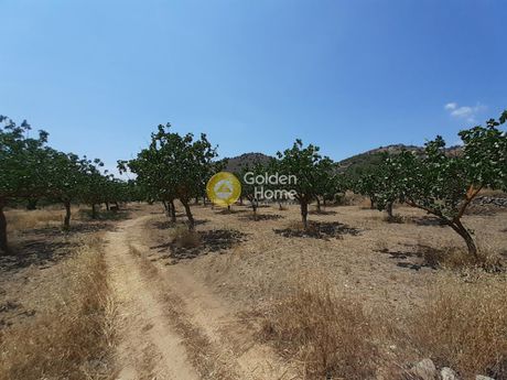 Land plot 5.350sqm for sale-Aegina » Kontos