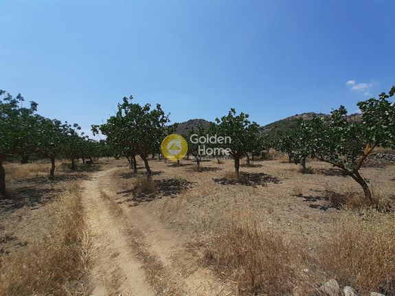 Land plot 5.350 sqm for sale, Argosaronikos Islands, Aegina