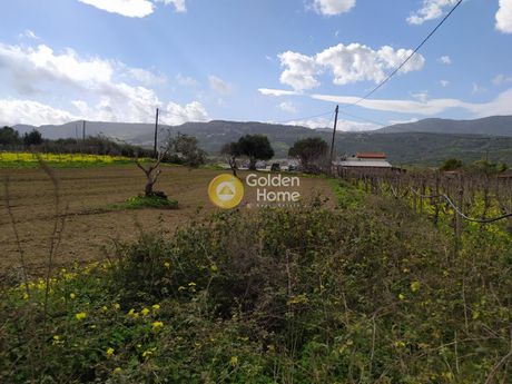 Αγροτεμάχια 830τ.μ. για πώληση-Νίκος καζαντζάκης » Μυρτιά