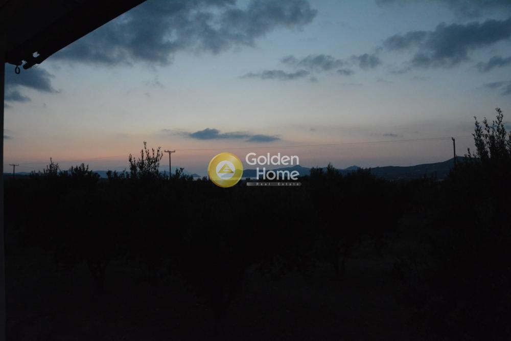 Συγκρότημα διαμερισμάτων 440 τ.μ. προς πώληση, Ζεφυρία