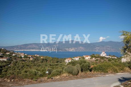 Οικόπεδο 615τ.μ. για πώληση-Βόλος » Νέες παγάσες