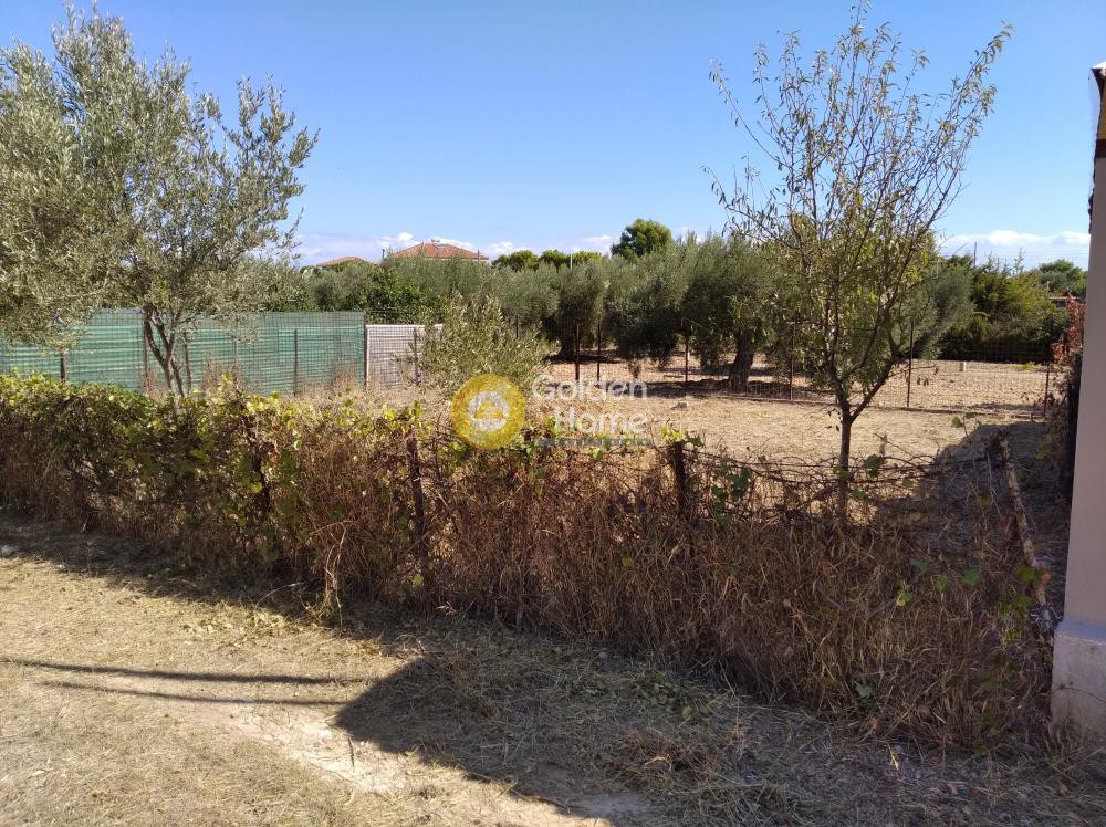 Αγροτεμάχια 212 τ.μ. πρός πώληση, Αθήνα - Ανατολικά Προάστια, Αρτέμιδα (λούτσα)