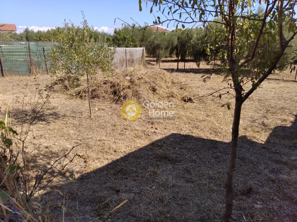 Αγροτεμάχια 212 τ.μ. πρός πώληση, Αθήνα - Ανατολικά Προάστια, Αρτέμιδα (λούτσα)