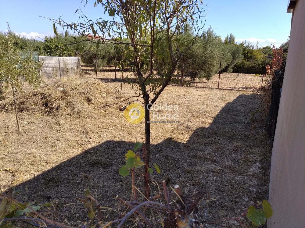 Αγροτεμάχια 212 τ.μ. πρός πώληση, Αθήνα - Ανατολικά Προάστια, Αρτέμιδα (λούτσα)