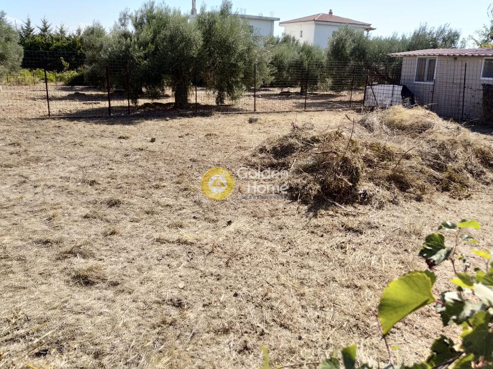 Αγροτεμάχια 212 τ.μ. πρός πώληση, Αθήνα - Ανατολικά Προάστια, Αρτέμιδα (λούτσα)