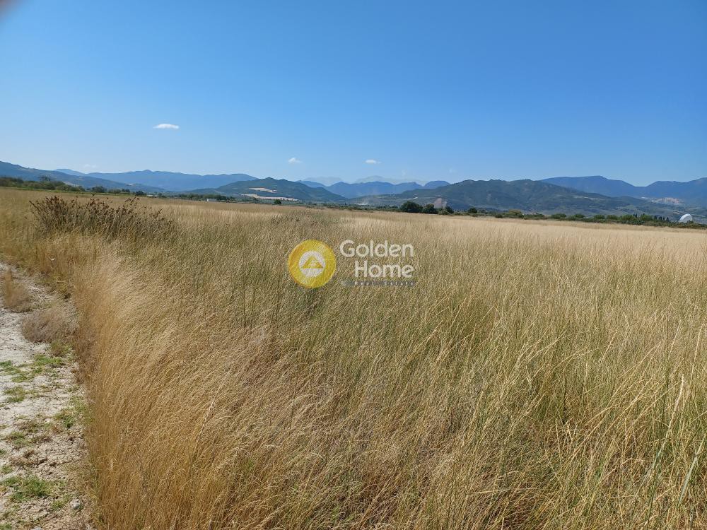 Αγροτεμάχια 140.000 τ.μ. για ενοικίαση, Φθιώτιδας, Λαμία