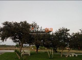 Κατάστημα 160 τ.μ. για ενοικίαση, Αχαΐα, Λάρισσος-thumb-3