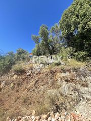 Αγροτεμάχια 2.095 τ.μ. για πώληση, Ν. Λευκάδας, Λευκάδα-thumb-11