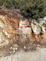 Αγροτεμάχια 2.095 τ.μ. για πώληση, Ν. Λευκάδας, Λευκάδα-thumb-6