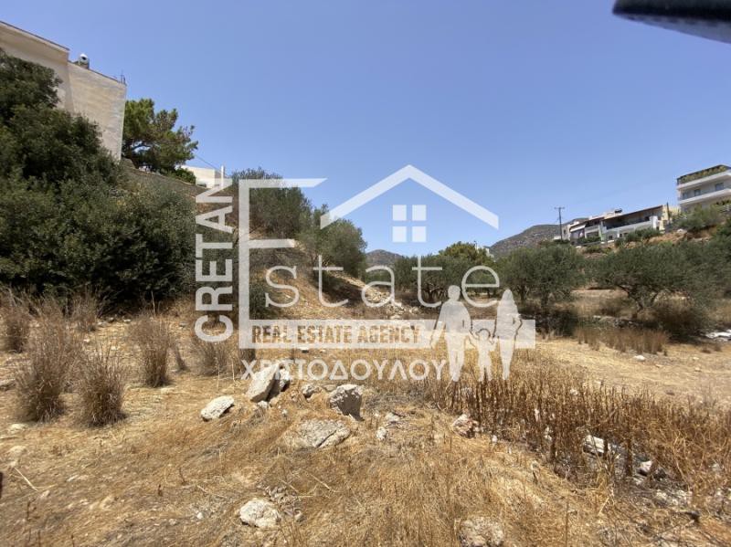 Οικόπεδο 12.000 τ.μ. προς πώληση, Κουτσουράς