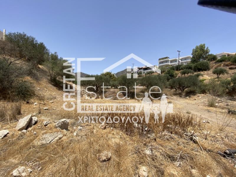 Οικόπεδο 12.000 τ.μ. προς πώληση, Κουτσουράς