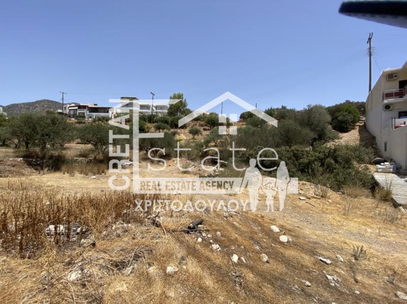 Οικόπεδο 12.000 τ.μ. προς πώληση, Κουτσουράς
