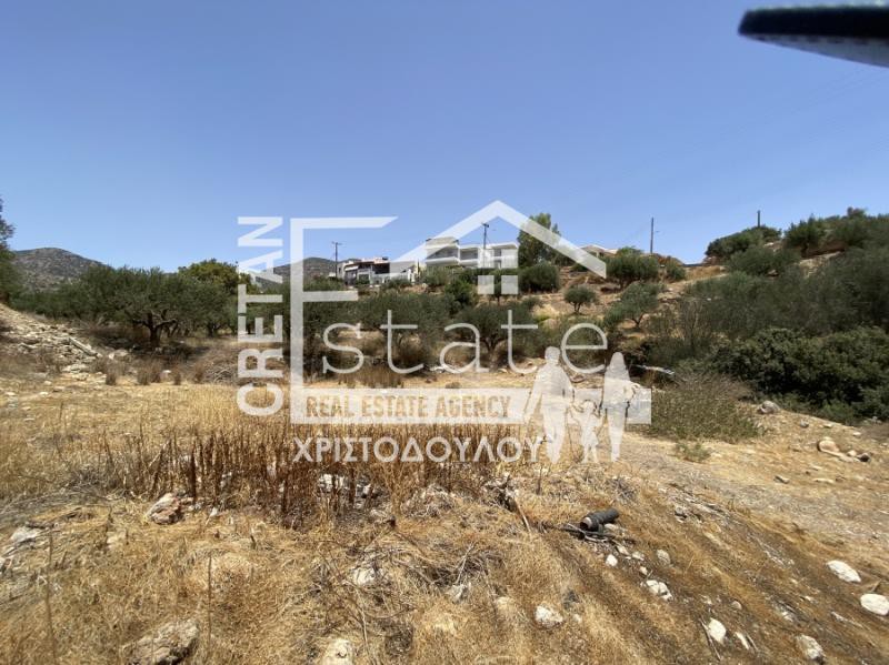 Οικόπεδο 12.000 τ.μ. προς πώληση, Κουτσουράς