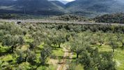 Parcel 6.000sqm for sale-Arfara » Agios Floros