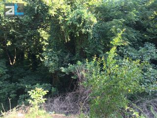 Land plot 2.500 sqm for rent, Achaia, Patra-thumb-4