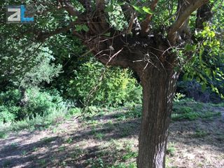 Land plot 2.500 sqm for rent, Achaia, Patra-thumb-6