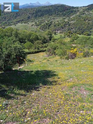 Οικόπεδο 4.592 τ.μ. για πώληση, Αχαΐα, Λεόντιο