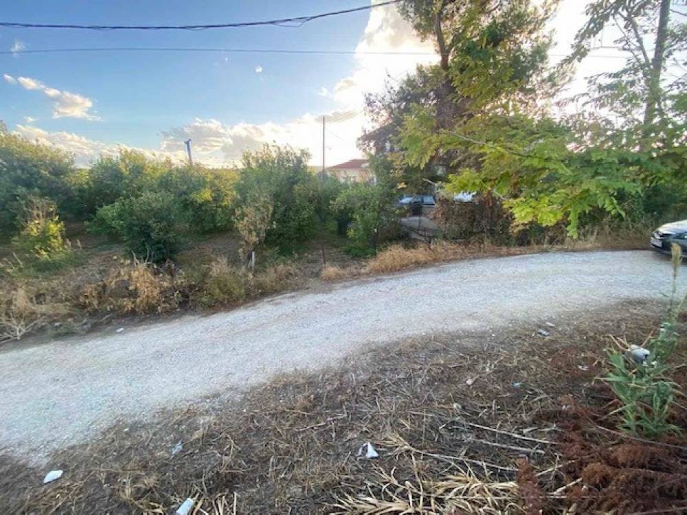 Οικόπεδο 2.864 τ.μ. πρός πώληση, Κορινθία, Σικυώνα