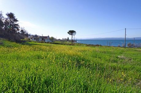 Αγροτεμάχια 4.000 τ.μ. για πώληση