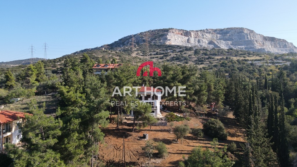 Μονοκατοικία 223 τ.μ. προς πώληση, Κέντρο Πεύκων