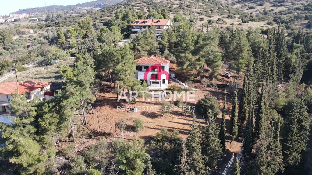 Μονοκατοικία 223 τ.μ. προς πώληση, Κέντρο Πεύκων